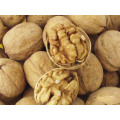New Crop Top Quality Chinese Walnut